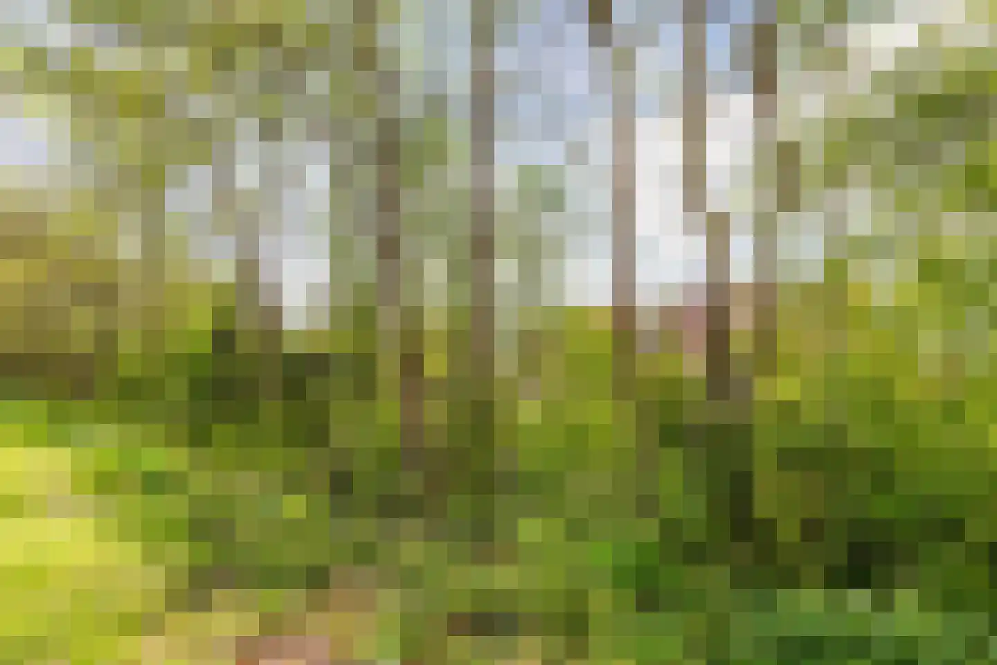 Grote Belt 8 Hoofddorp thumbnail 38