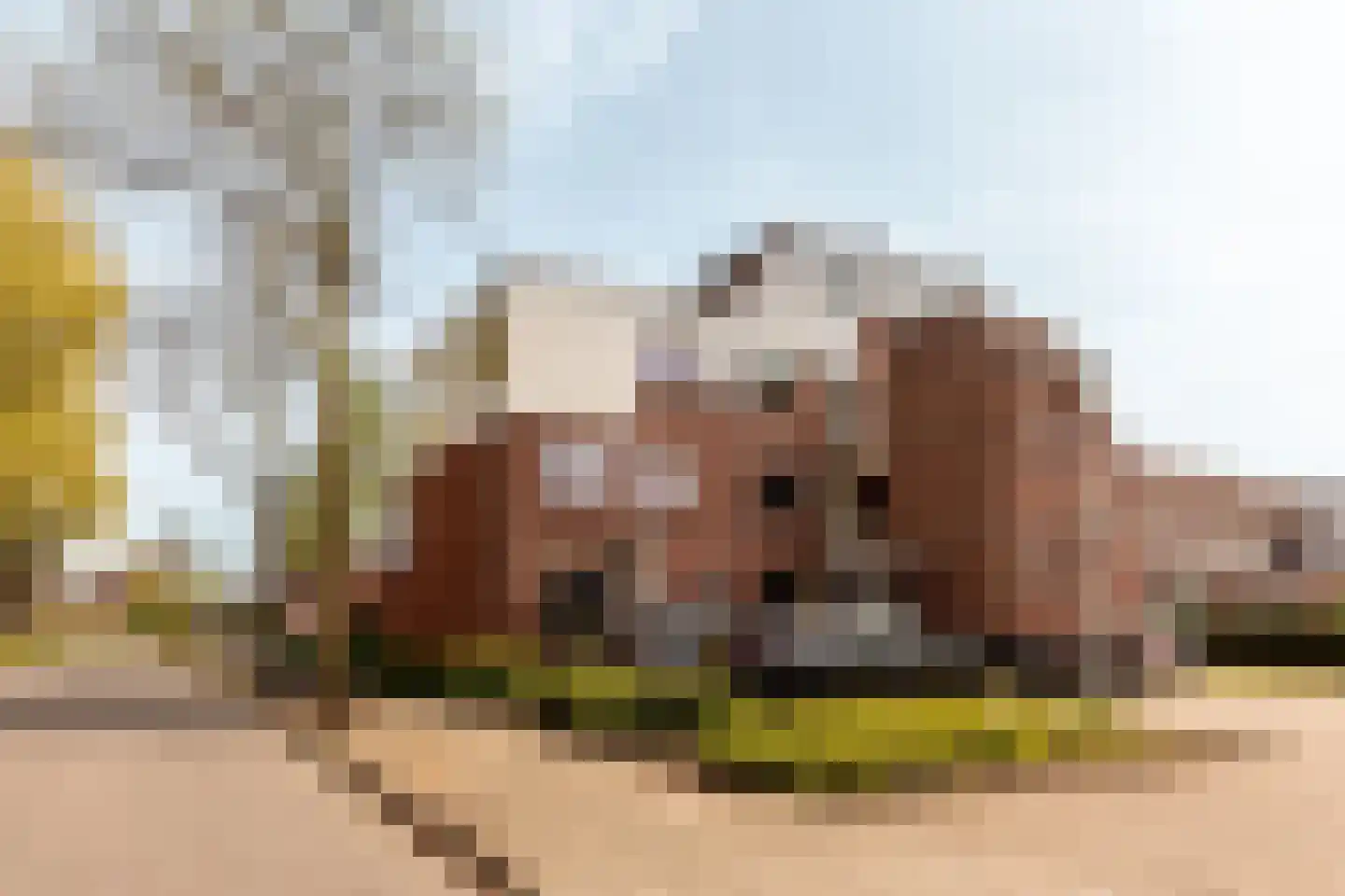 Grote Belt 82 Hoofddorp thumbnail 40