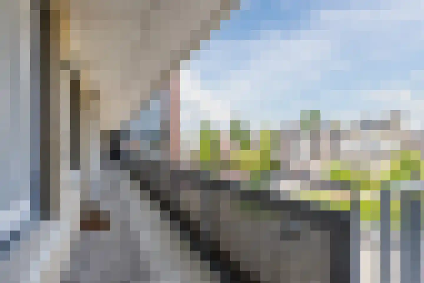 Grote Berg 44 Eindhoven thumbnail 25