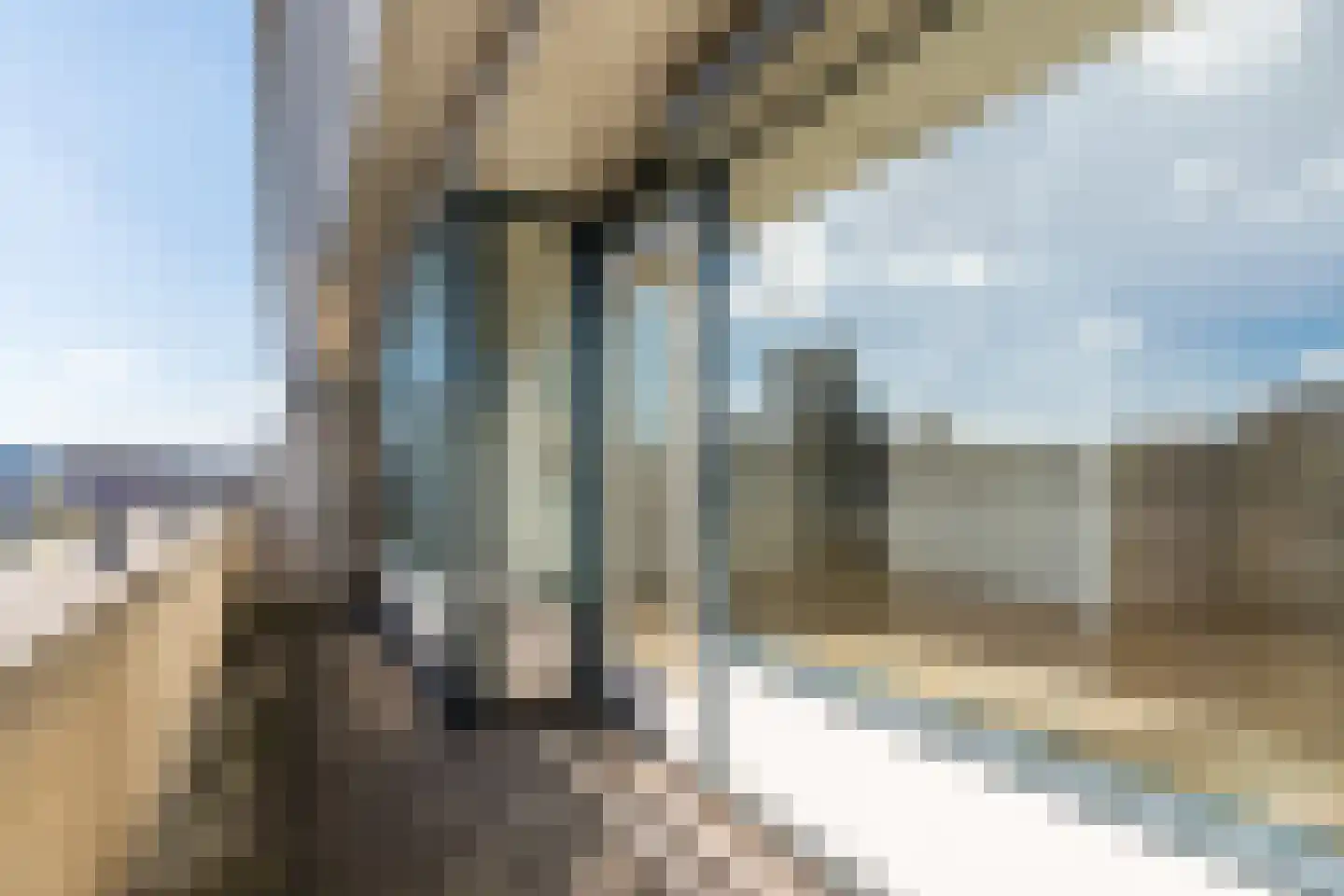 Grote Berg 48 A Eindhoven thumbnail 16