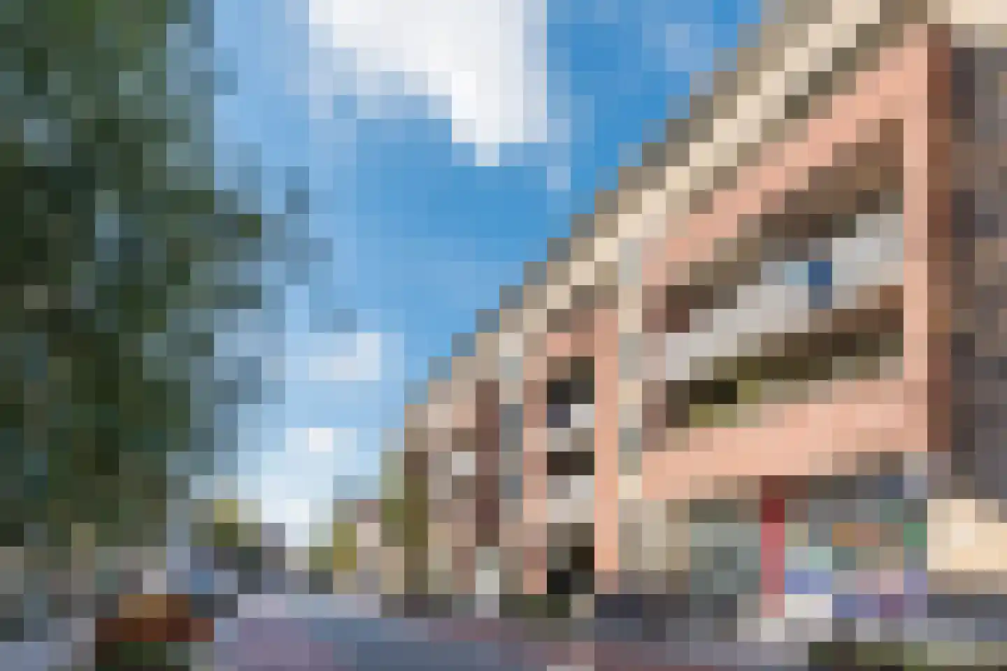 Grote Berg 48 A Eindhoven thumbnail 35