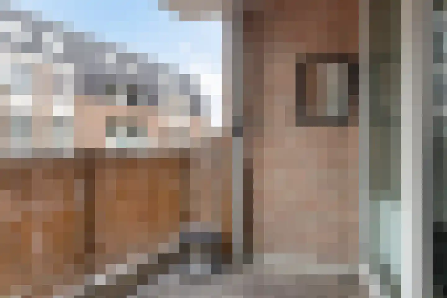 Grote Berg 95 D Eindhoven thumbnail 30