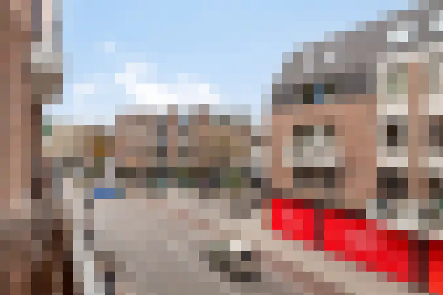 Grote Berg 95 D Eindhoven thumbnail 32