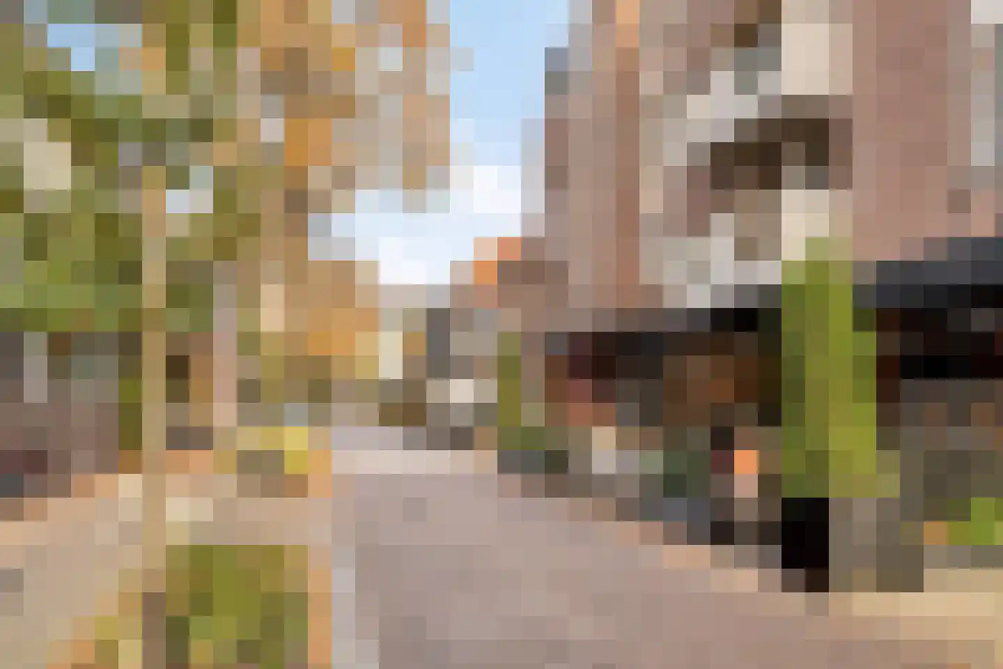 Grote Berg 95 D Eindhoven thumbnail 34