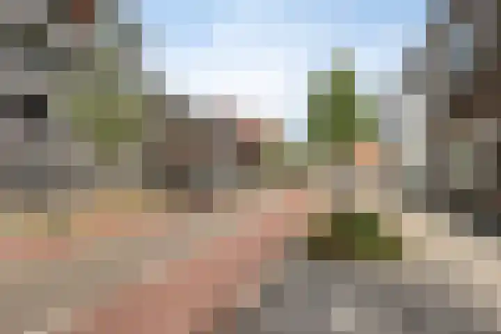 Grote Berg 95 E Eindhoven thumbnail 36