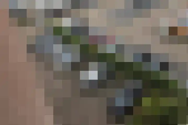 Grote Berg 95 L Eindhoven thumbnail 34