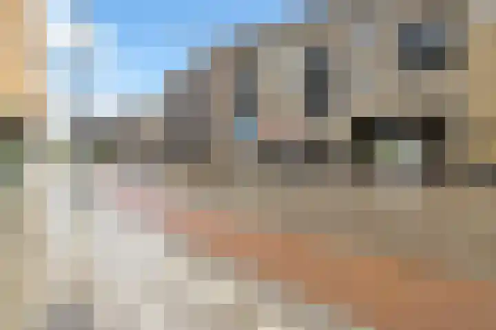 Grote Berg 95 L Eindhoven thumbnail 7