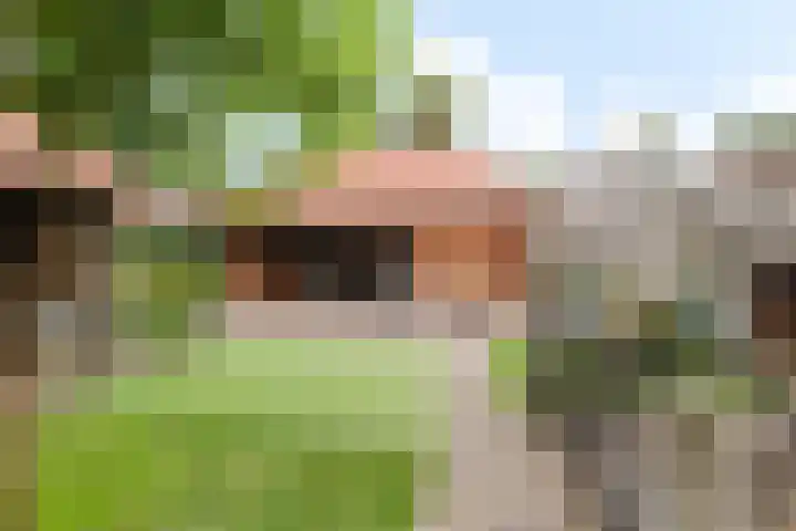 Grote Beukelaer 46 Heino thumbnail 30