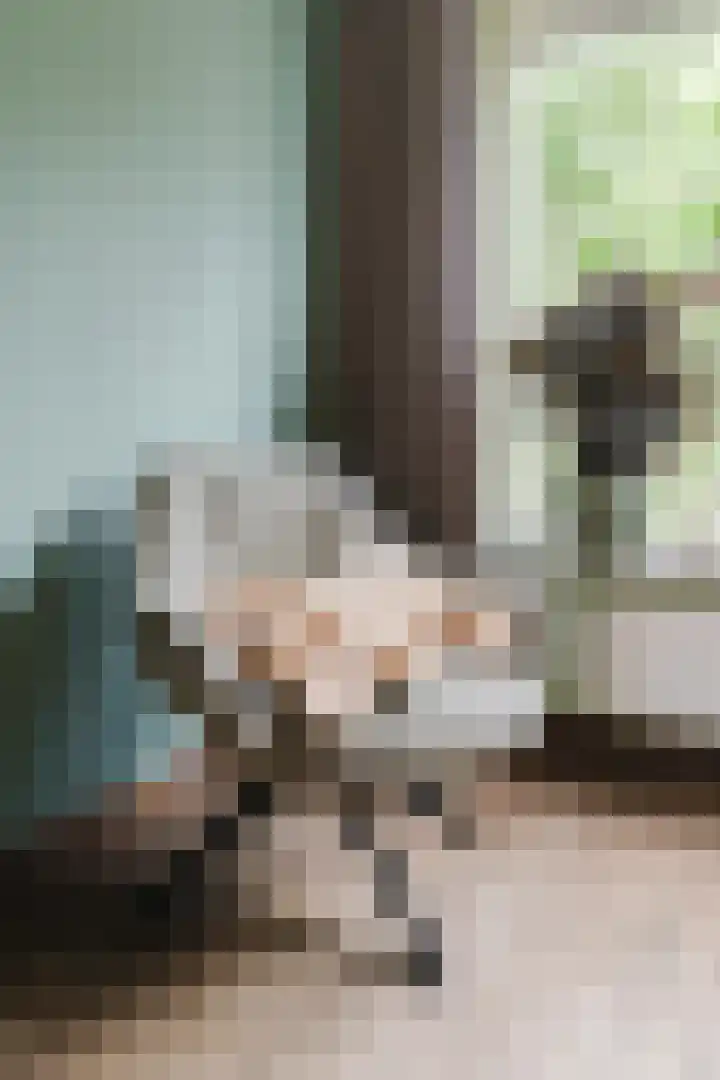 Grote Beukelaer 46 Heino thumbnail 5