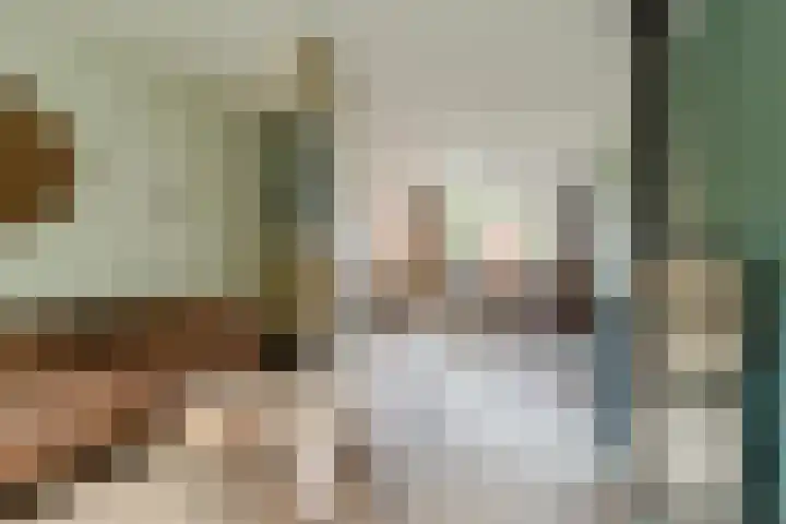 Grote Beukelaer 46 Heino thumbnail 6