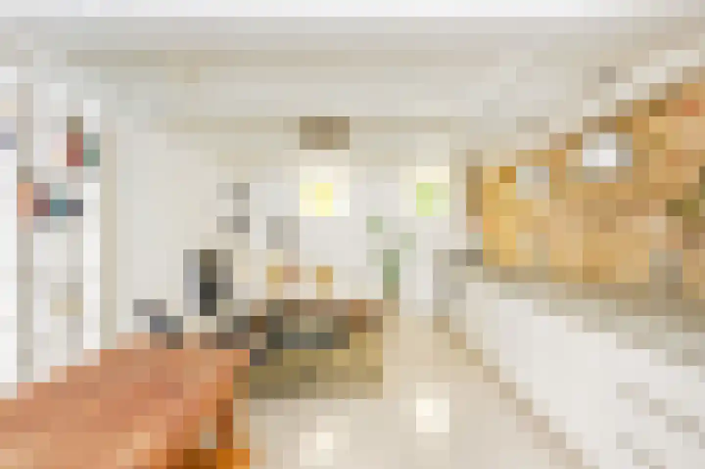 Grote Bickersstraat 23 1 Amsterdam thumbnail 10