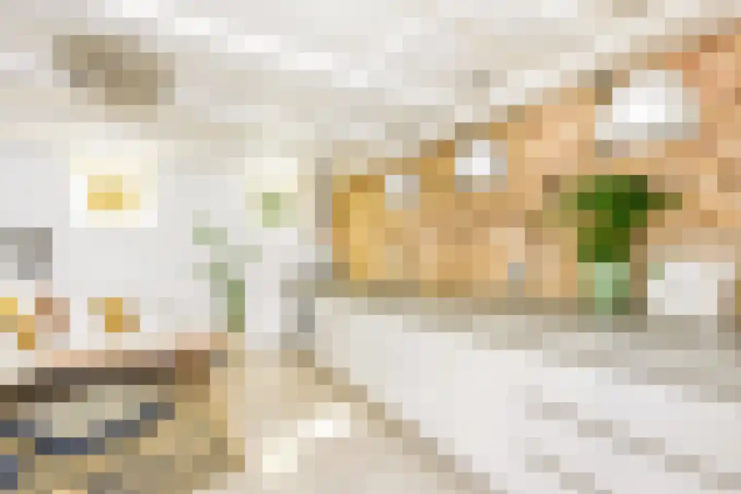 Grote Bickersstraat 23 1 Amsterdam thumbnail 14