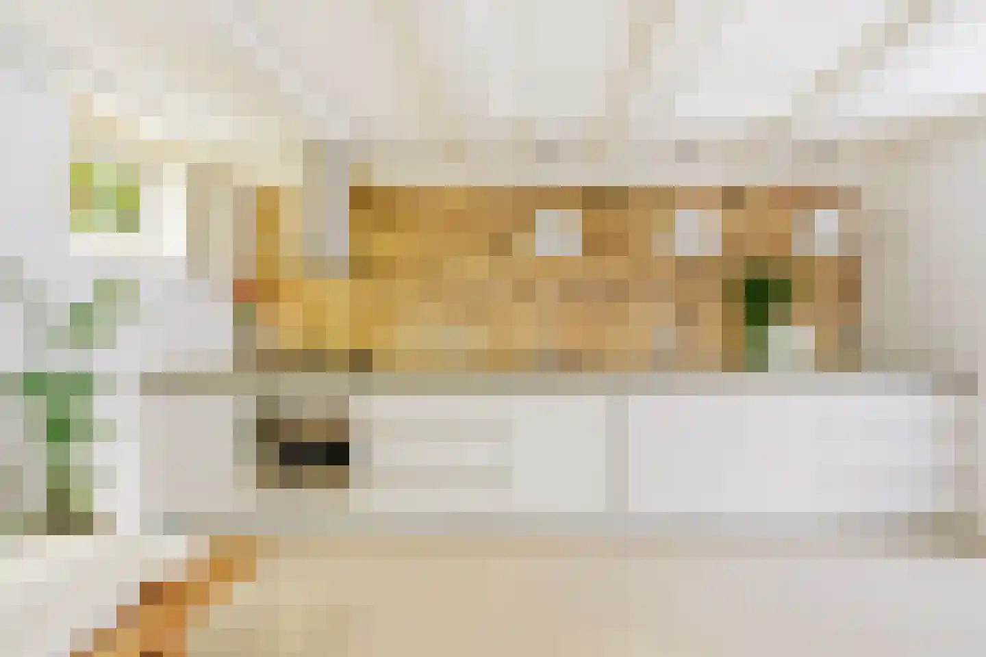 Grote Bickersstraat 23 1 Amsterdam thumbnail 15