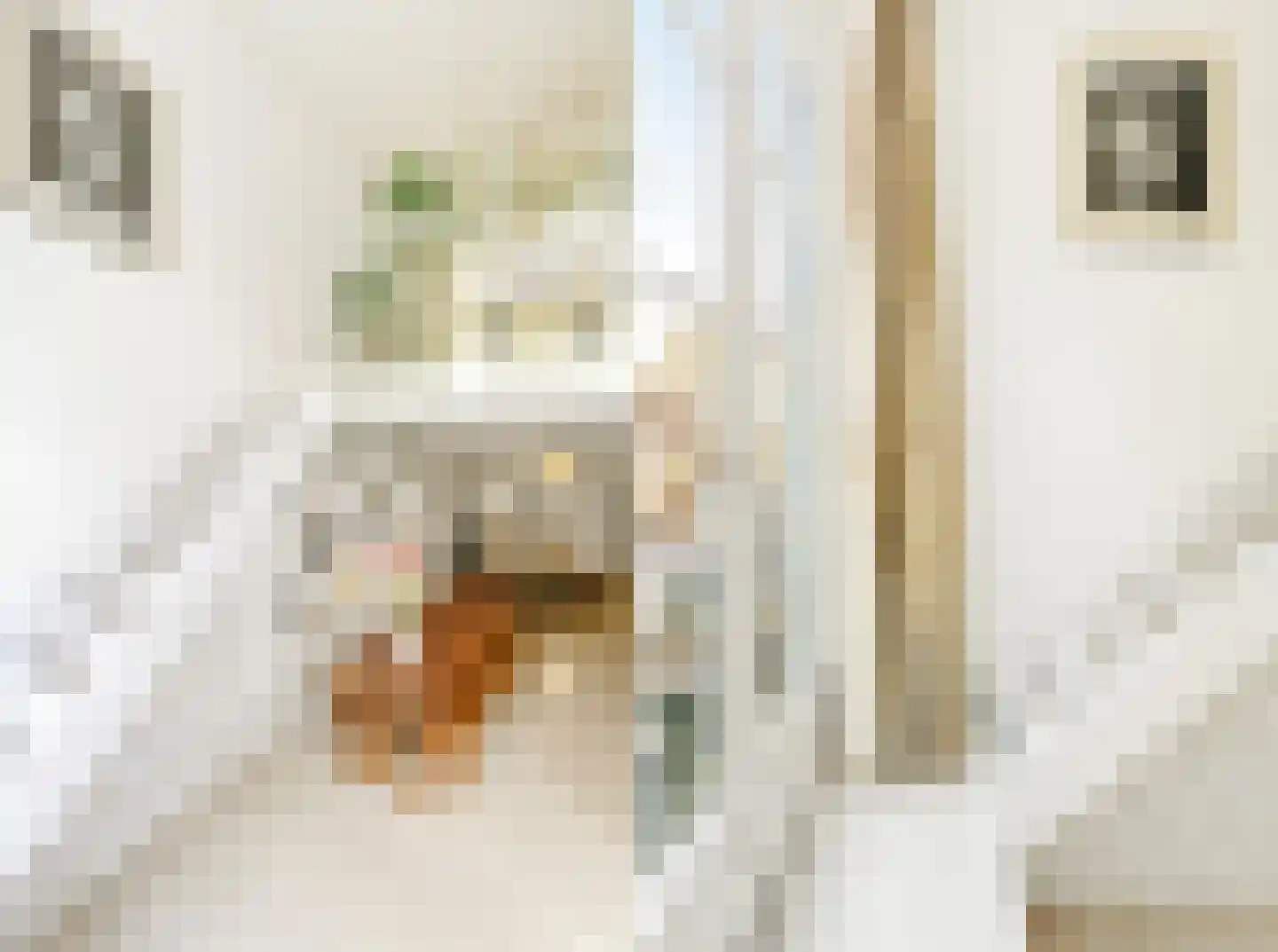 Grote Bickersstraat 23 1 Amsterdam thumbnail 17