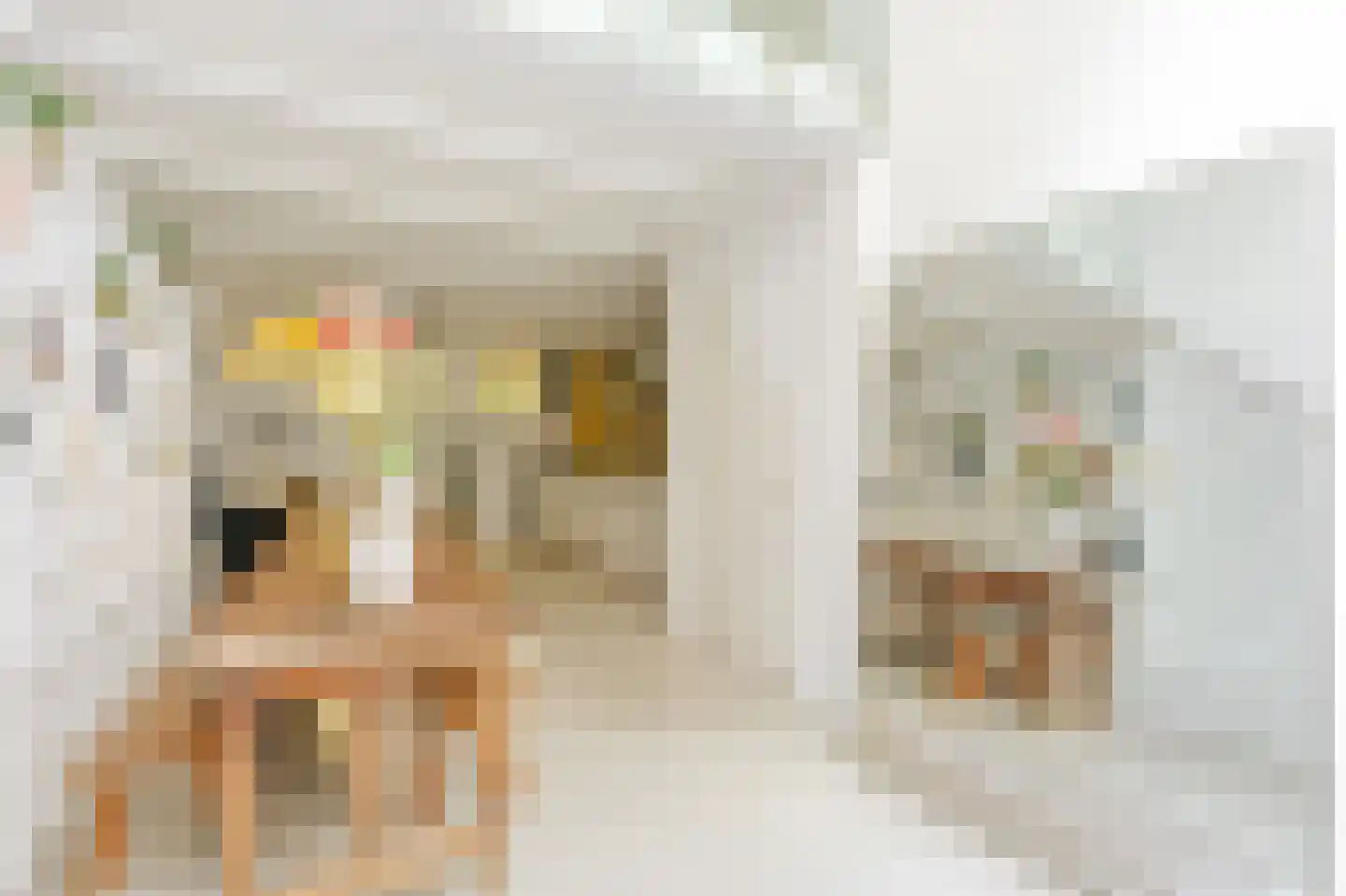 Grote Bickersstraat 23 1 Amsterdam thumbnail 4