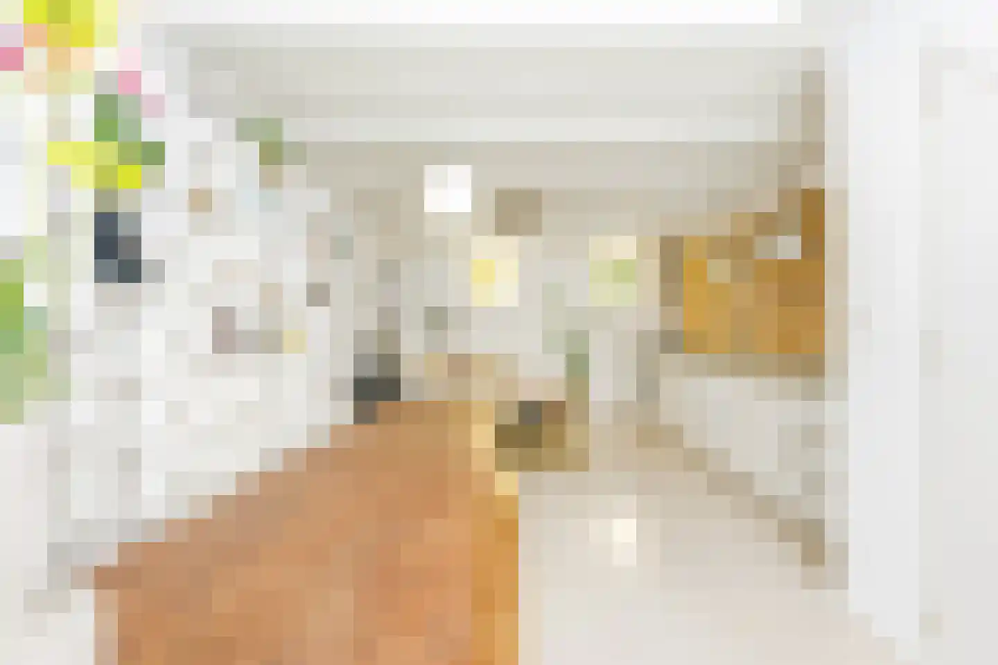Grote Bickersstraat 23 1 Amsterdam thumbnail 5