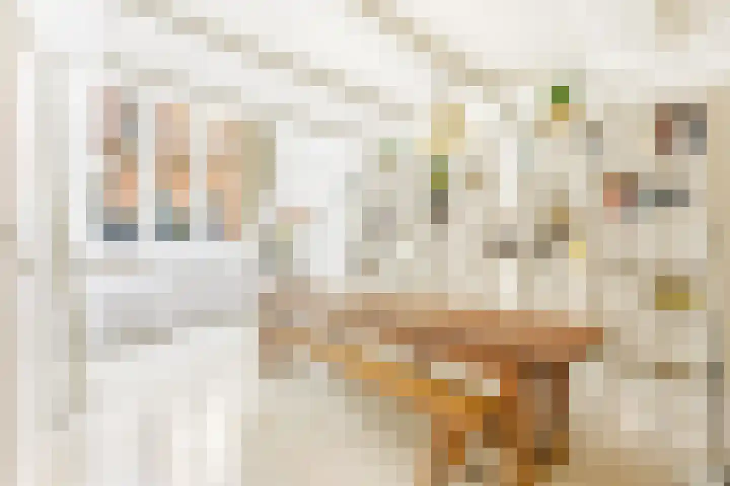Grote Bickersstraat 23 1 Amsterdam thumbnail 6