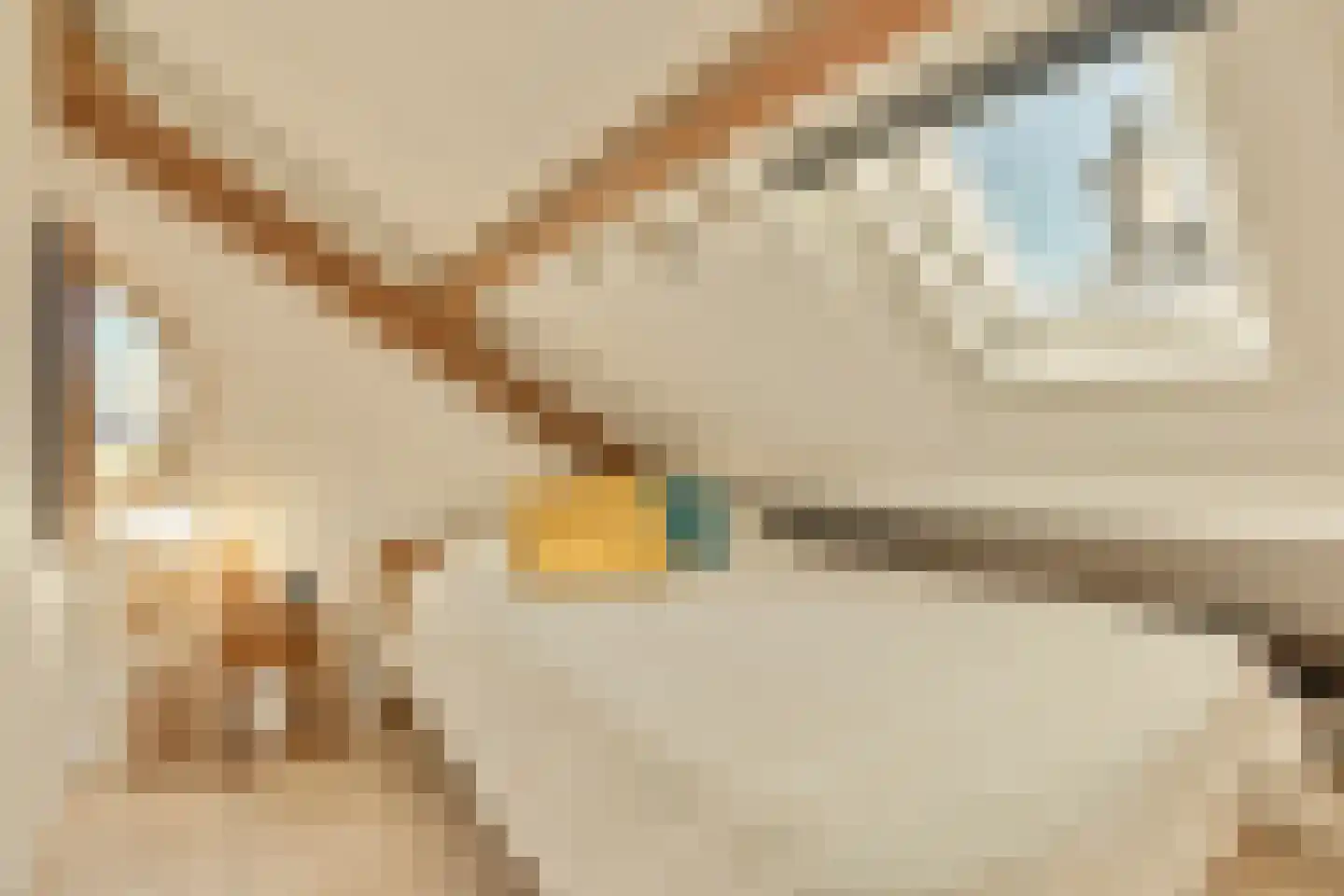 Grote Bickersstraat 49 D Amsterdam thumbnail 31