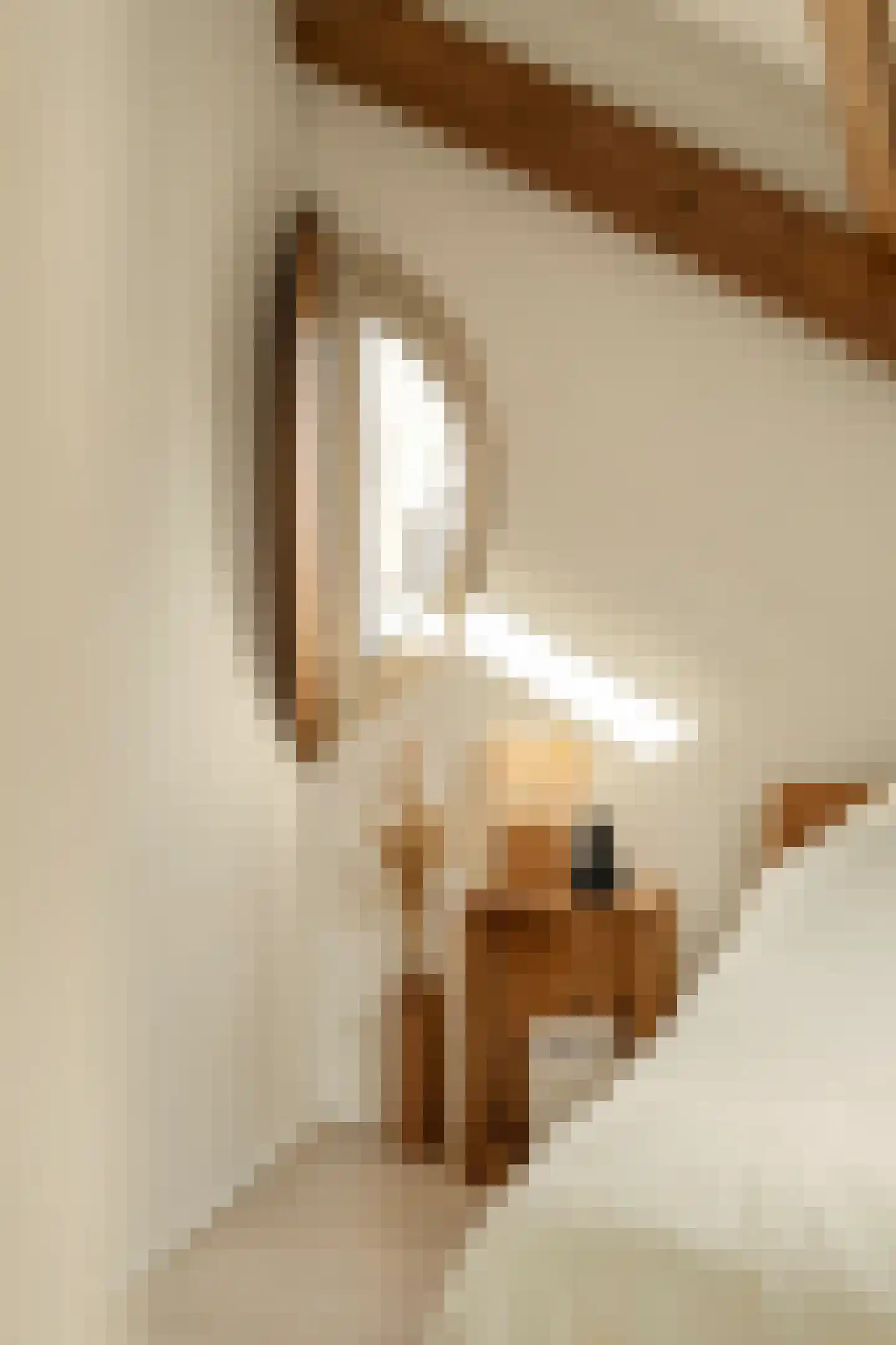 Grote Bickersstraat 49 D Amsterdam thumbnail 34