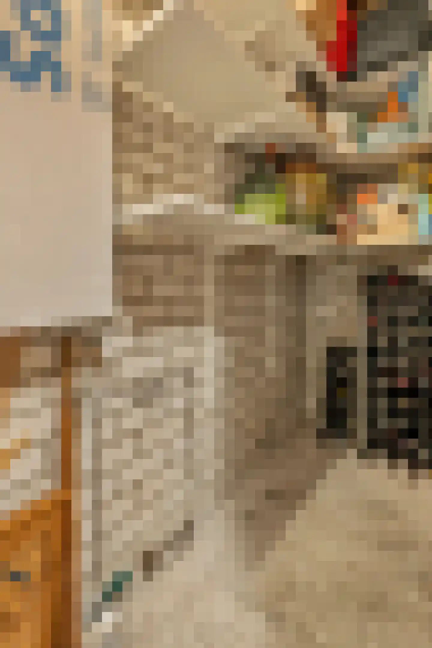 Grote Bickersstraat 49 D Amsterdam thumbnail 36