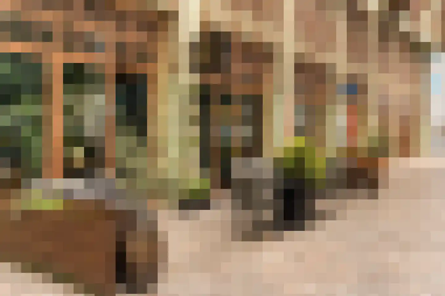 Grote Bickersstraat 49 D Amsterdam thumbnail 44