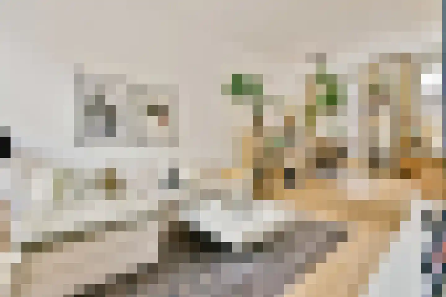 Grote Bickersstraat 50 B Amsterdam thumbnail 5