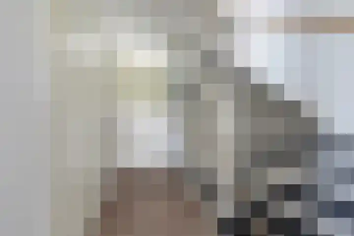 Grote Biesem 40 Doesburg thumbnail 11