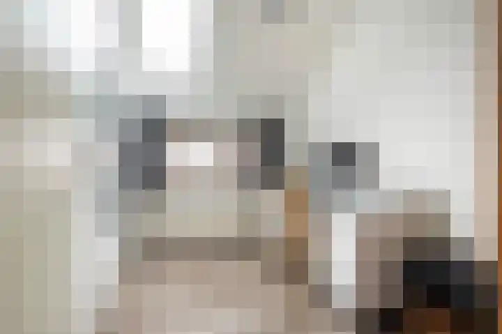 Grote Biesem 40 Doesburg thumbnail 13