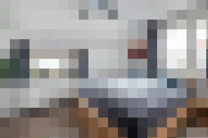 Grote Biesem 40 Doesburg thumbnail 14