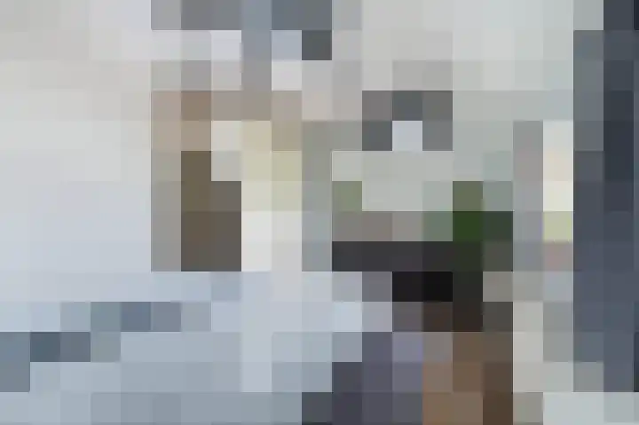 Grote Biesem 40 Doesburg thumbnail 15