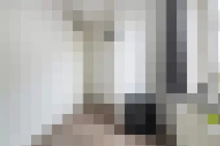 Grote Biesem 40 Doesburg thumbnail 16