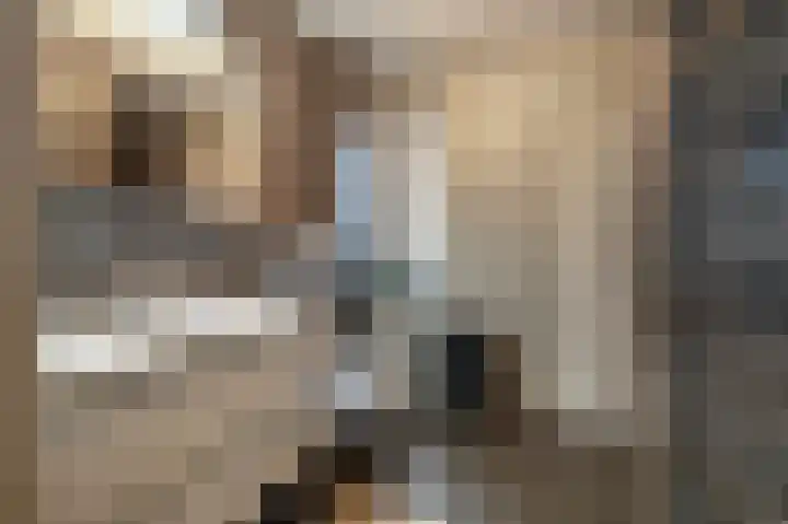 Grote Biesem 40 Doesburg thumbnail 18