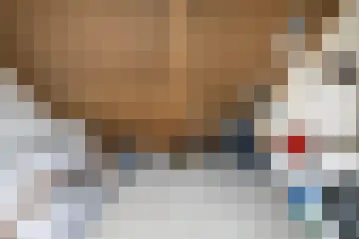 Grote Biesem 40 Doesburg thumbnail 19