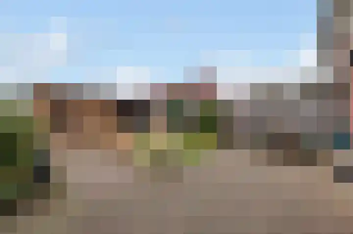 Grote Biesem 40 Doesburg thumbnail 22