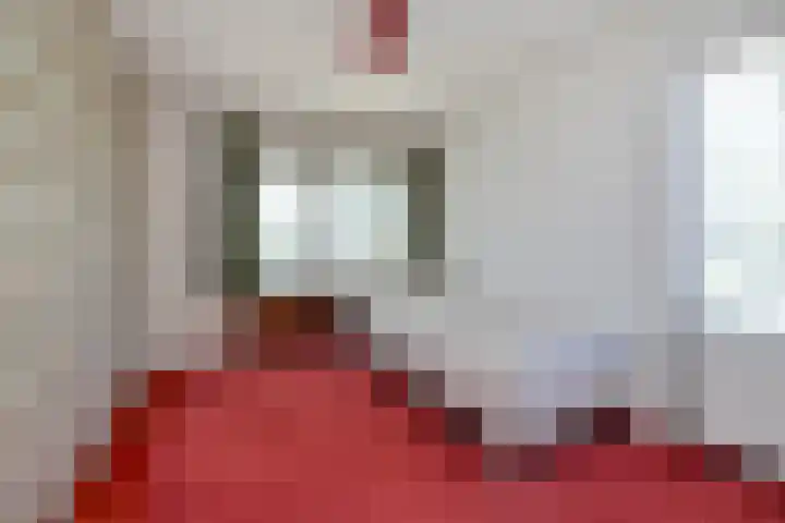 Grote Biesem 40 Doesburg thumbnail 24