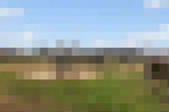 Grote Biesem 40 Doesburg thumbnail 25