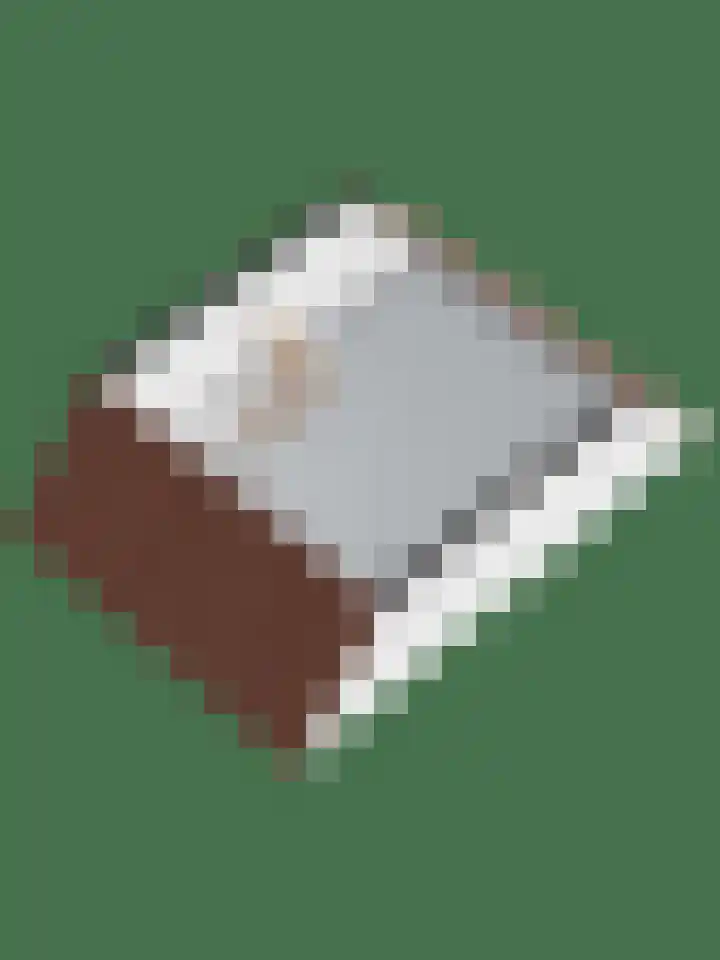 Grote Biesem 40 Doesburg thumbnail 35