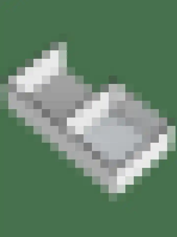 Grote Biesem 40 Doesburg thumbnail 37