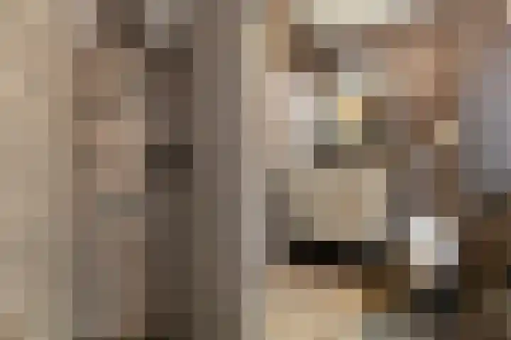 Grote Biesem 40 Doesburg thumbnail 6