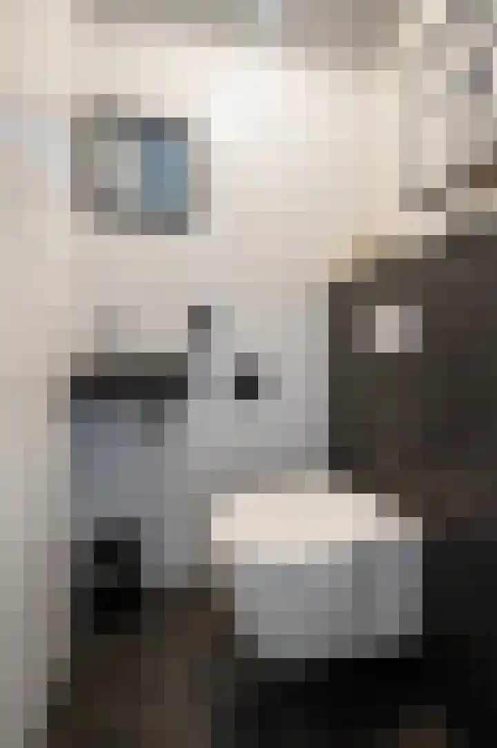 Grote Biesem 40 Doesburg thumbnail 8