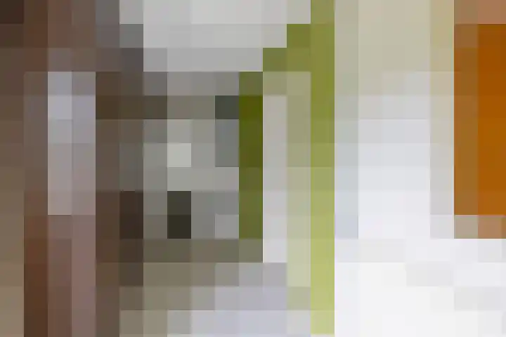 Grote Bisschop 27 Heino thumbnail 12