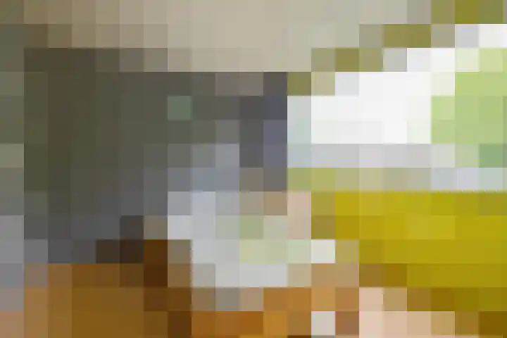 Grote Bisschop 27 Heino thumbnail 17