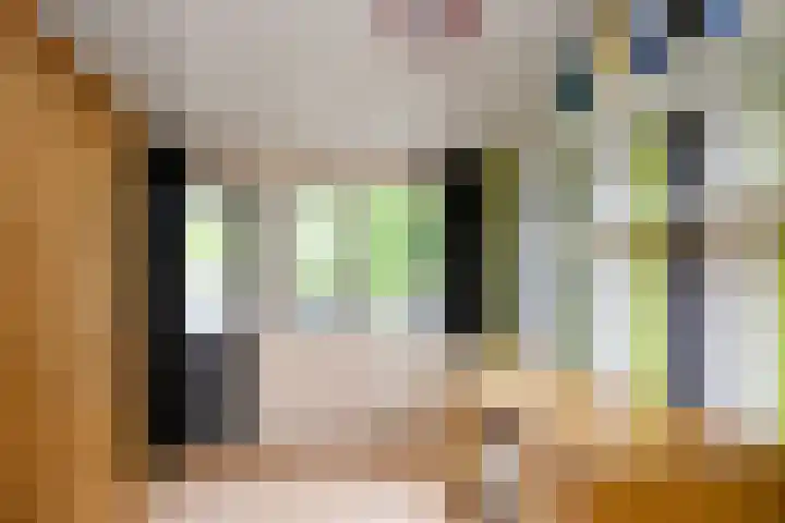 Grote Bisschop 27 Heino thumbnail 18