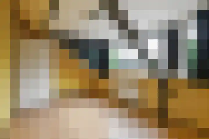 Grote Bisschop 27 Heino thumbnail 24
