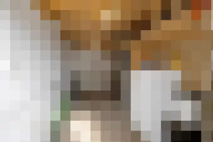 Grote Bisschop 27 Heino thumbnail 25