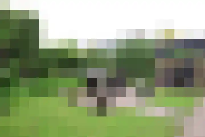 Grote Bisschop 27 Heino thumbnail 30