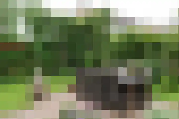 Grote Bisschop 27 Heino thumbnail 31