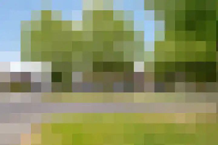 Grote Bisschop 27 Heino thumbnail 4