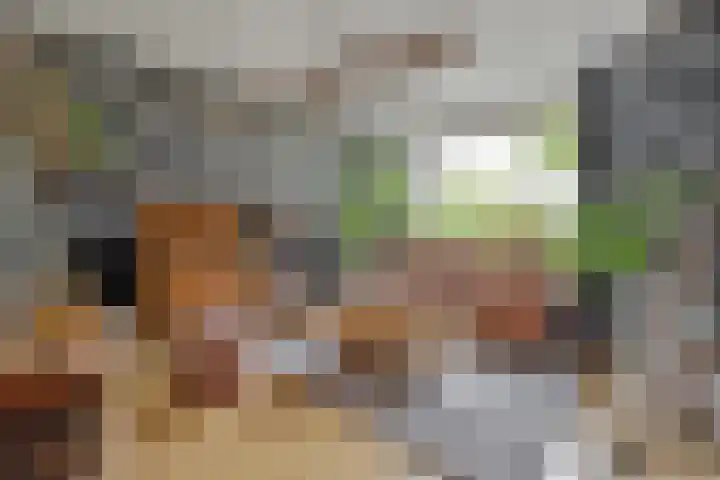 Grote Bisschop 27 Heino thumbnail 5