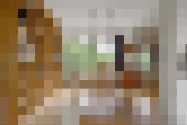Grote Bisschop 27 Heino thumbnail 9